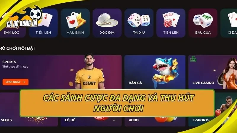 Các sảnh cược đa dạng và thu hút người chơi