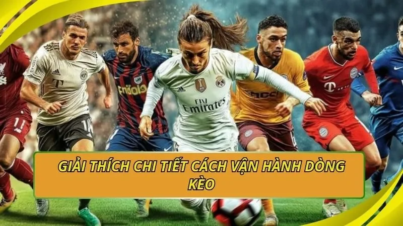 Giải thích chi tiết cách vận hành dòng kèo