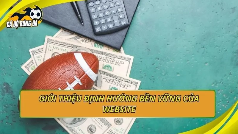 Giới thiệu định hướng bền vững của website