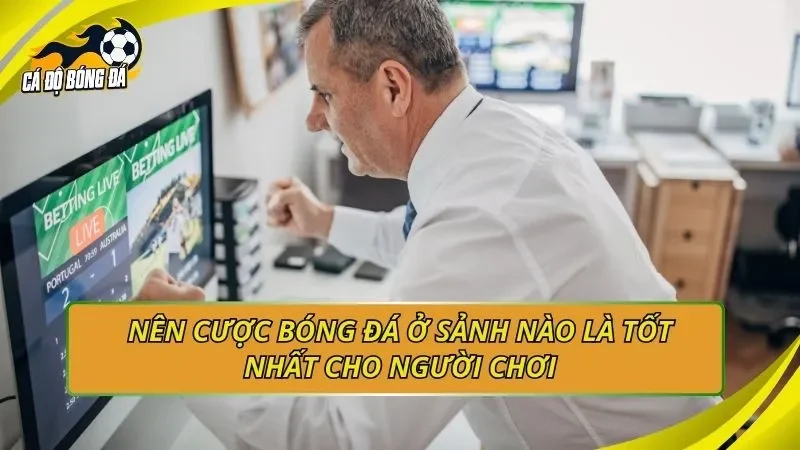 Nên cược bóng đá ở sảnh nào là tốt nhất cho người chơi
